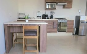 Departamento Tequis, Totalmente Nuevo En El Corazon De Slp