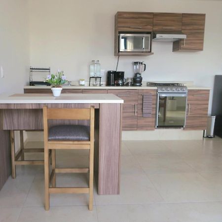 Apartamento Departamento Tequis, Totalmente Nuevo En El Corazon De Slp San Luis Potosí Exterior foto