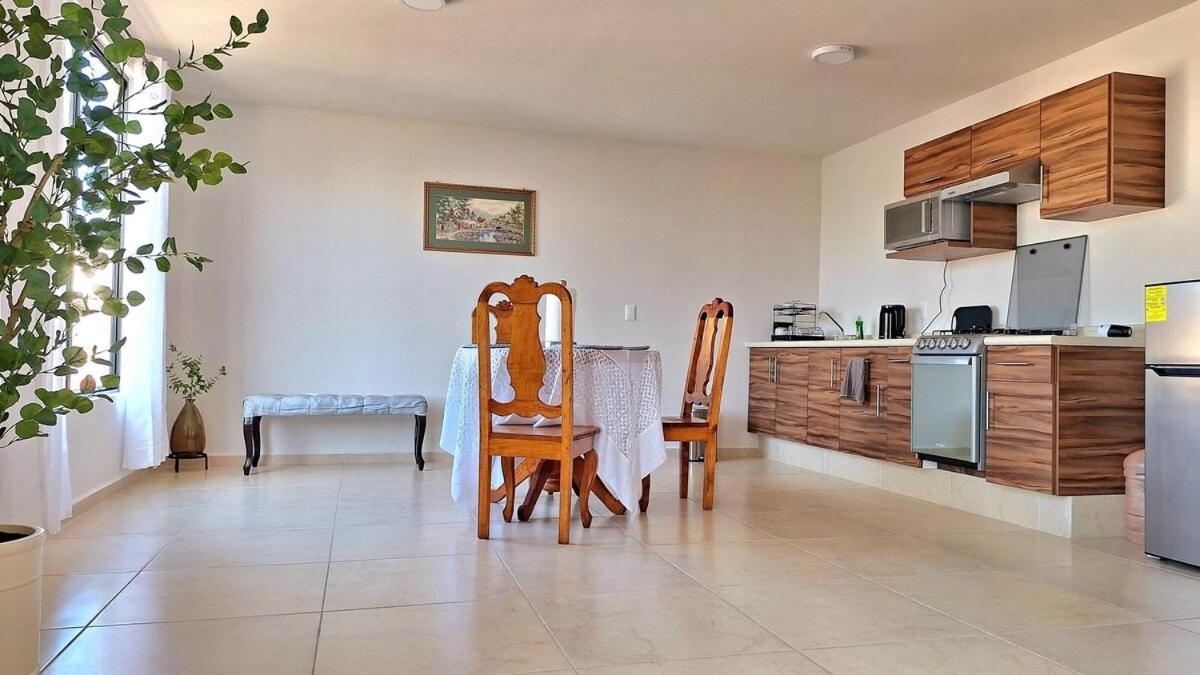 Apartamento Departamento Tequis, Totalmente Nuevo En El Corazon De Slp San Luis Potosí Exterior foto