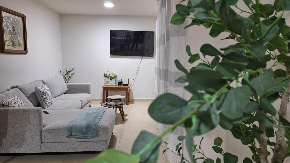 Apartamento Departamento Tequis, Totalmente Nuevo En El Corazon De Slp San Luis Potosí Exterior foto